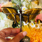 Tigers eye butterfly