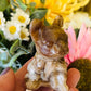 Chocolate calcite Frenchie