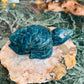 Apatite turtle - small chip