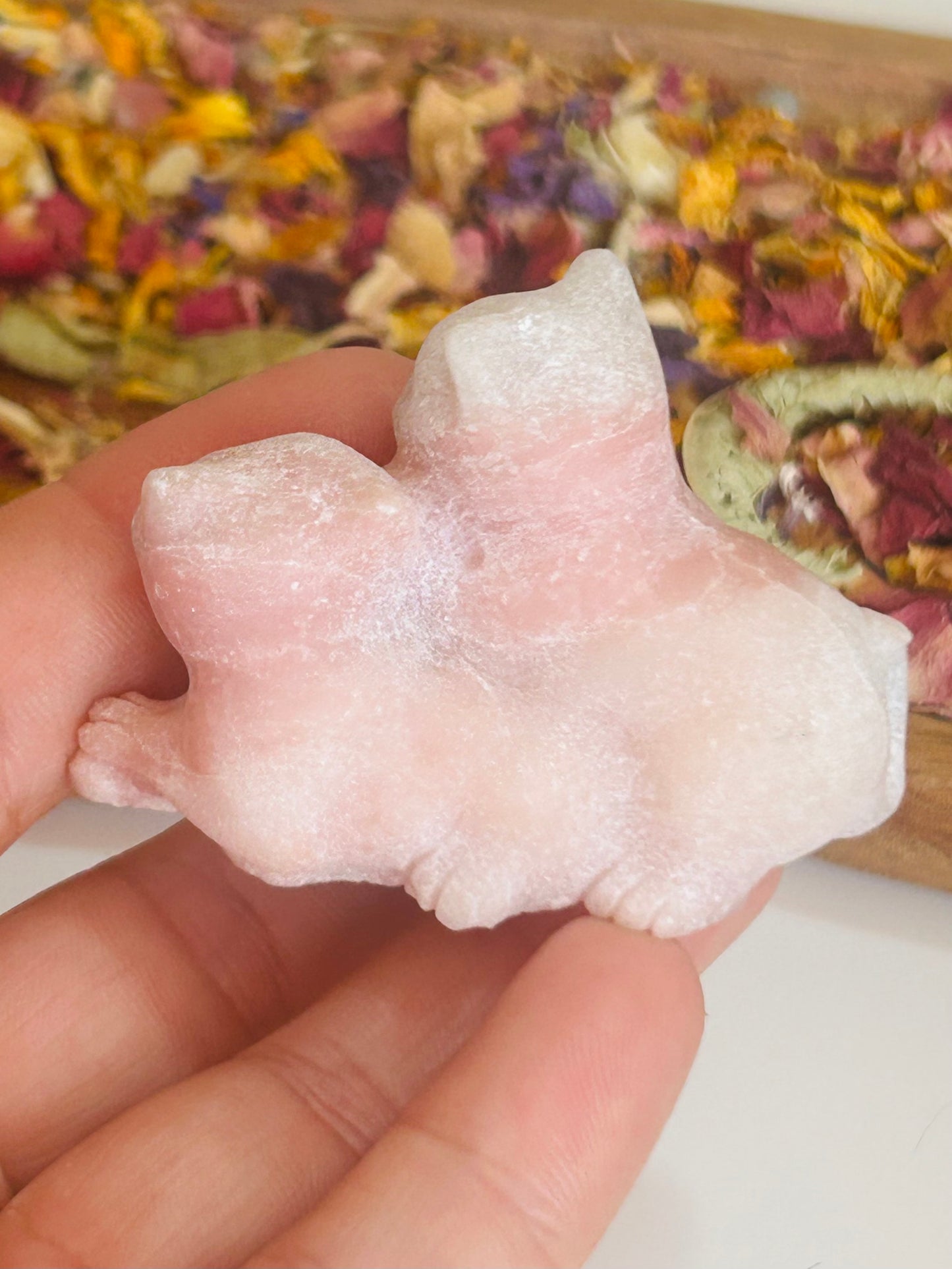 Pink opal double cat