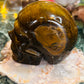 Tigers eye skull