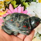 African bloodstone turtle