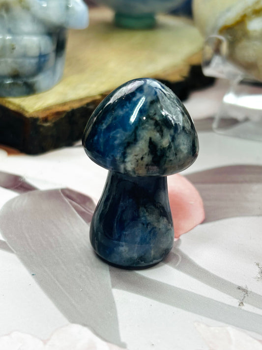 Sodalite mushroom with uv