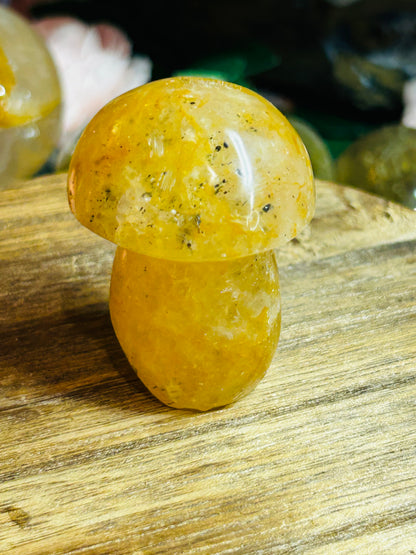 Golden healer mushroom