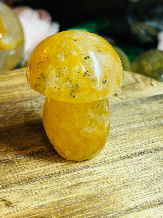 Golden healer mushroom