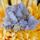 Purple creedite