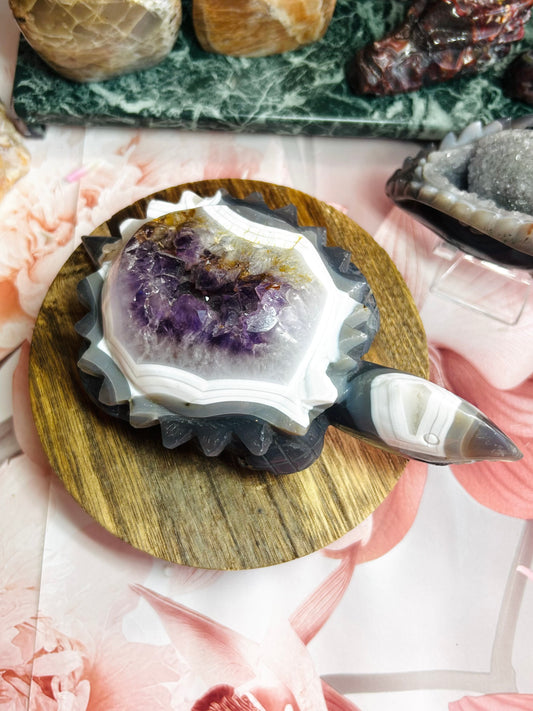 Amethyst agate turtle