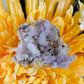 Purple creedite