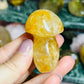 Golden healer mushroom