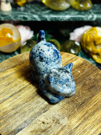 Sodalite cat