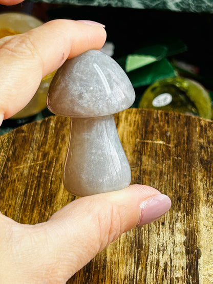 Agate mushroom