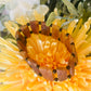 Raw amber bracelet