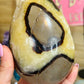 Septarian egg