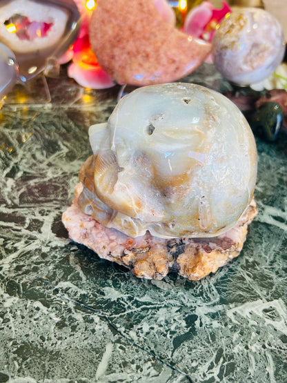 Caribbean calcite skull