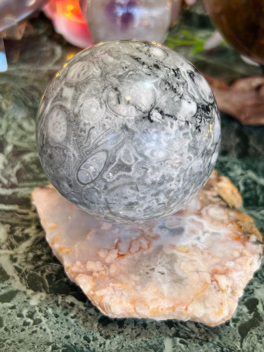 Shell jasper sphere