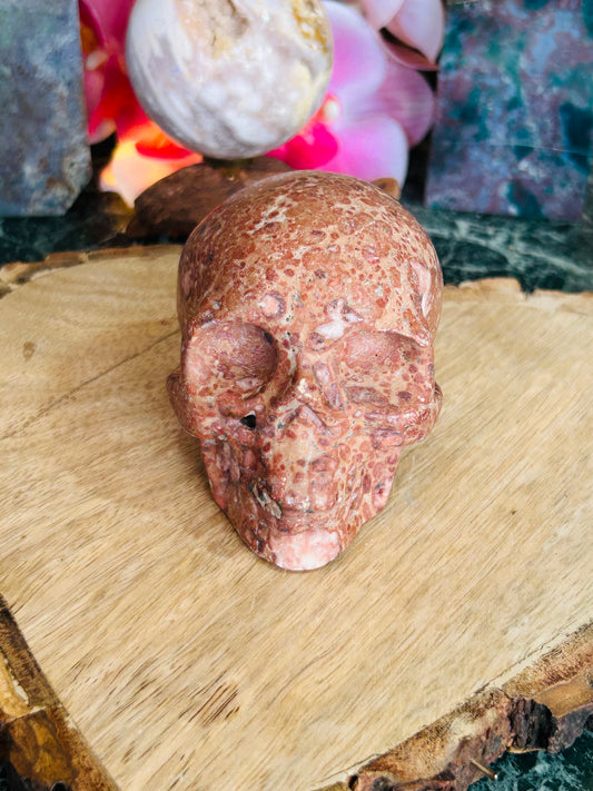 Money agate skull