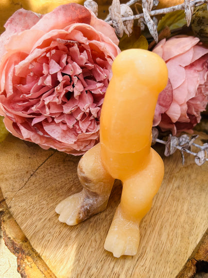 Orange calcite penisaurus Rex!