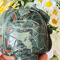 African bloodstone turtle