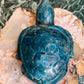 Apatite turtle - small chip