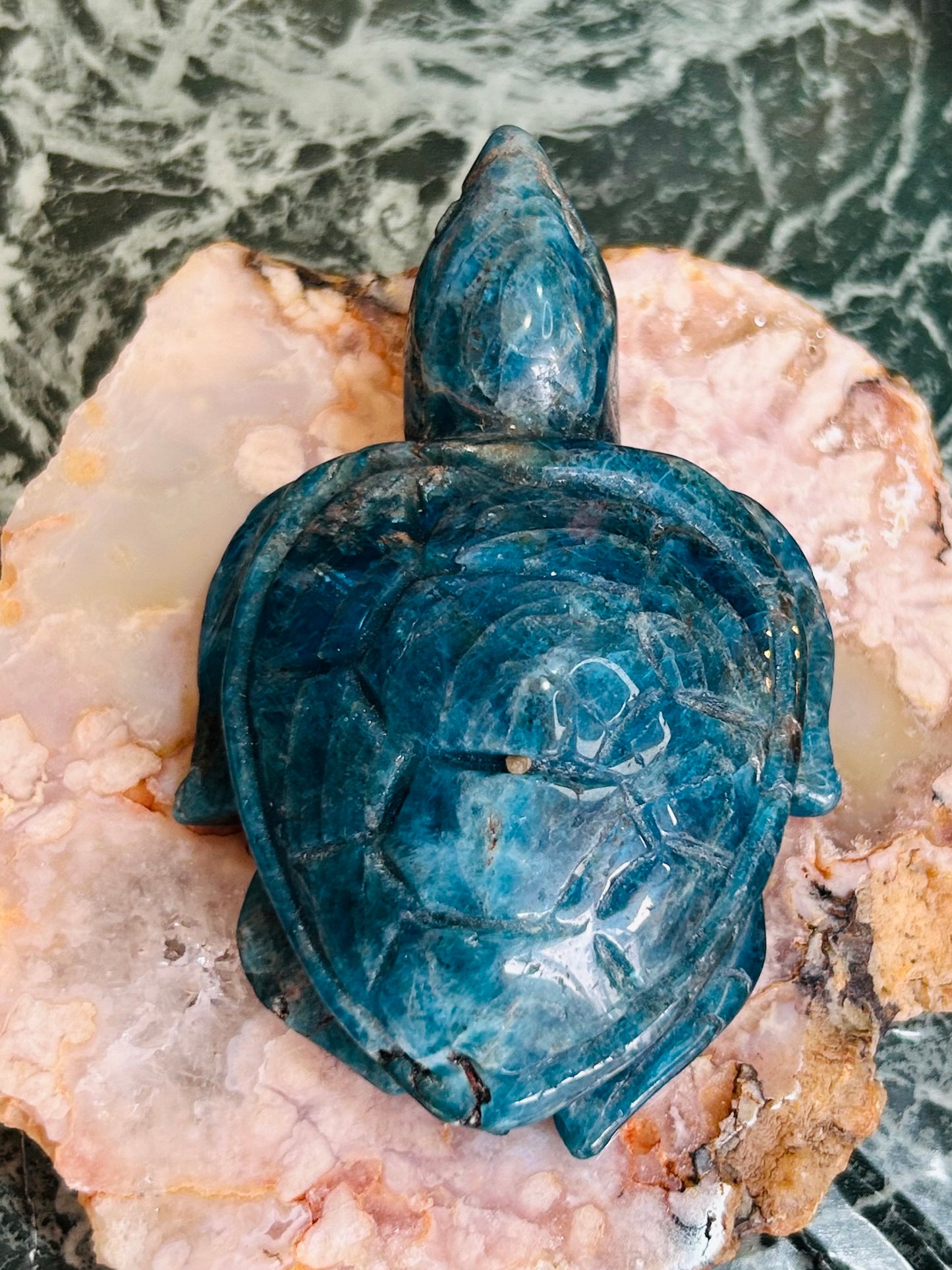 Apatite turtle - small chip