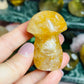 Golden healer mushroom