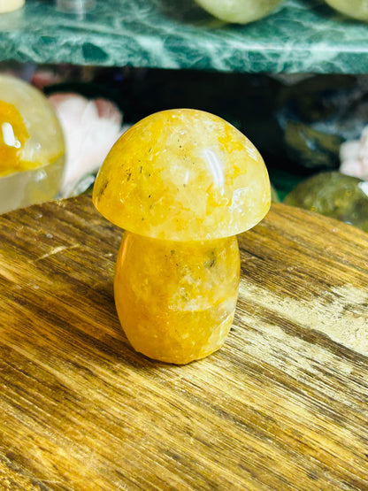 Golden healer mushroom
