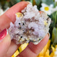 Purple creedite