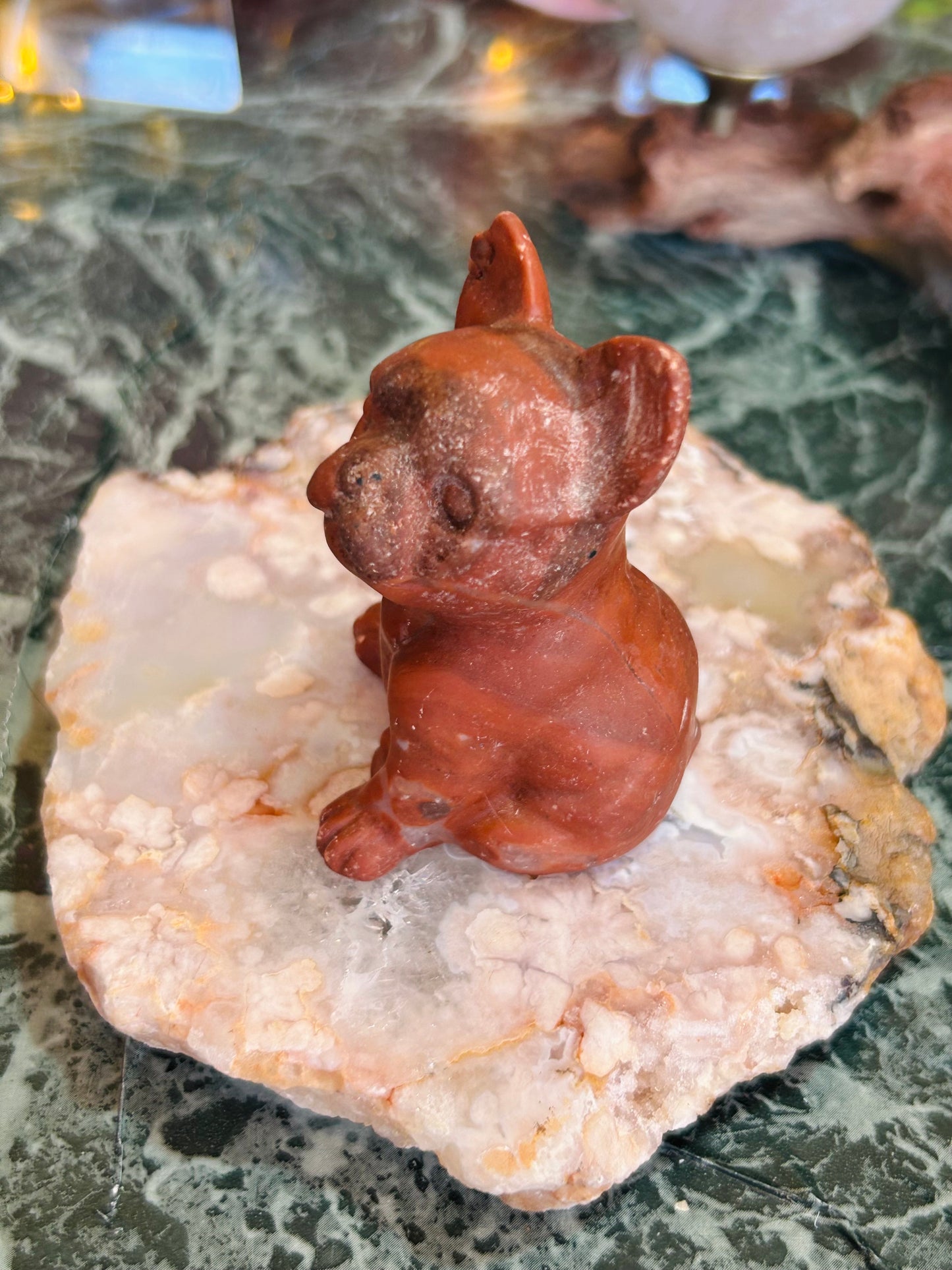 Red jasper dog