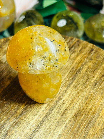 Golden healer mushroom