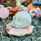 Caribbean calcite skull
