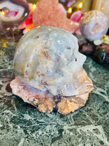 Caribbean calcite skull