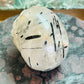 Tourmaline in quartz skull