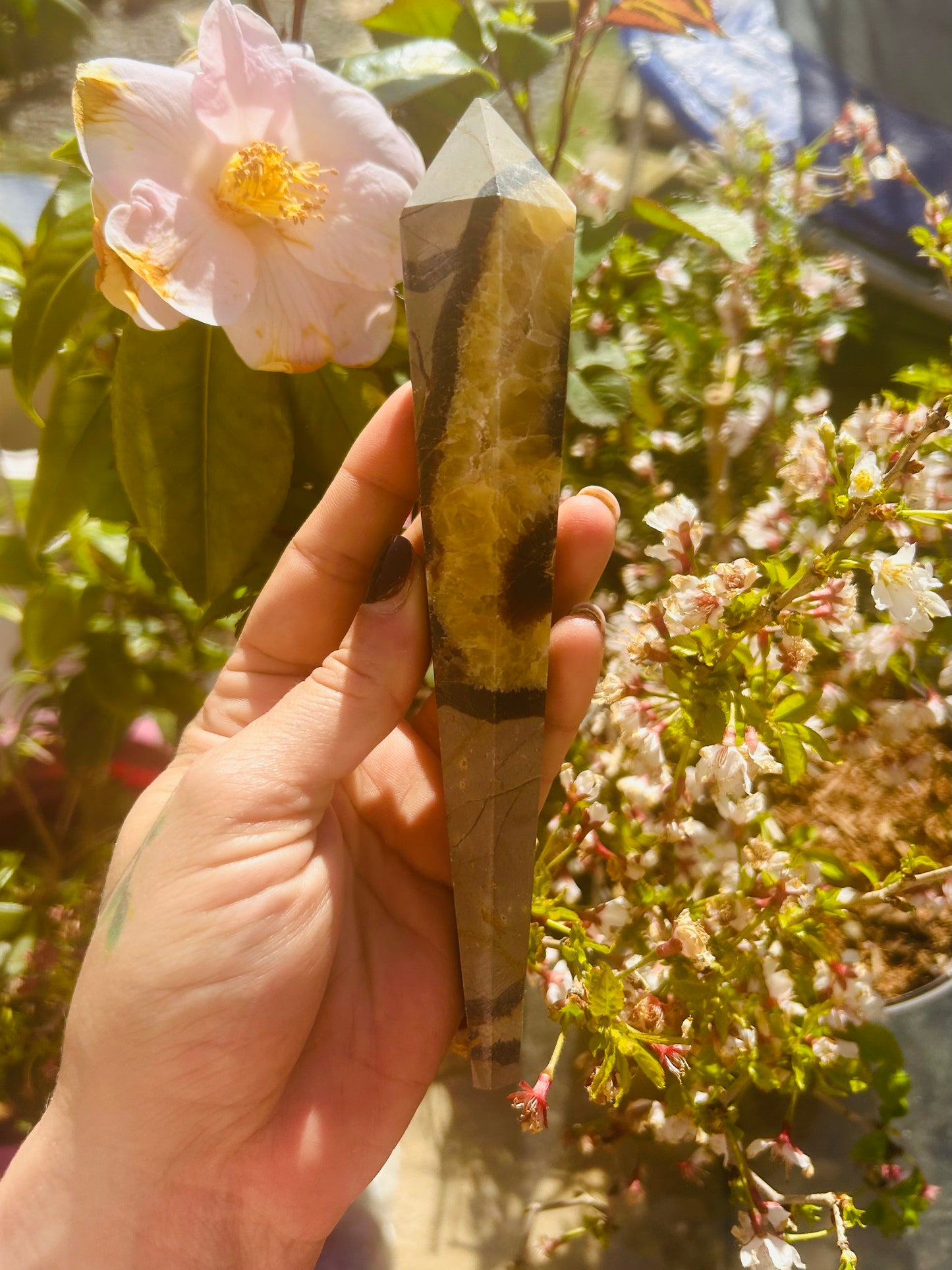 Septarian wand