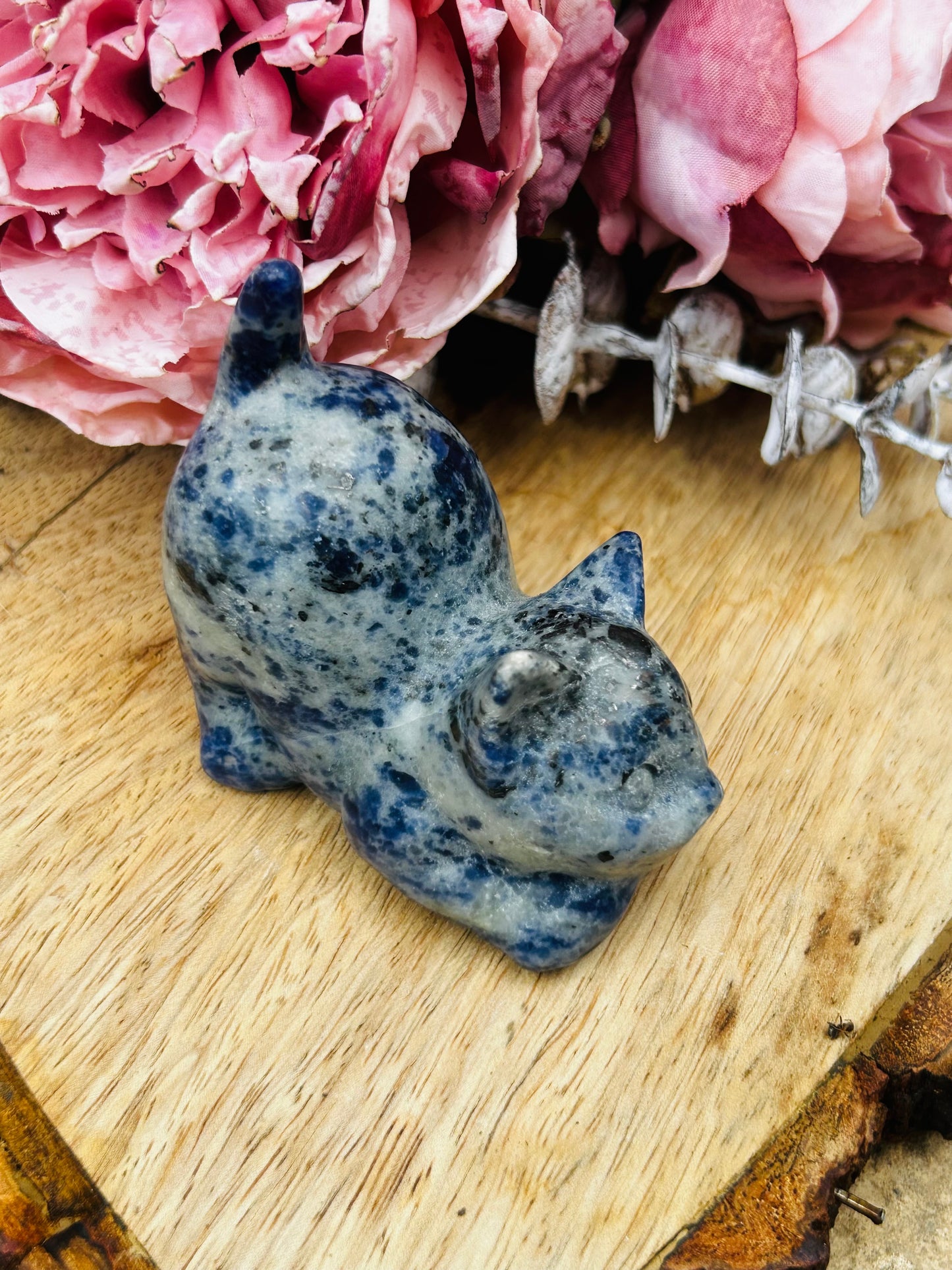Sodalite cat