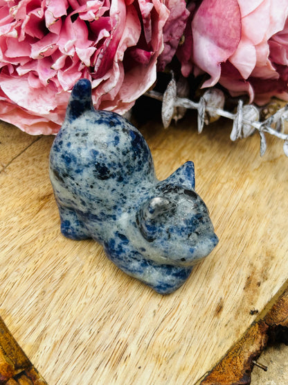 Sodalite cat