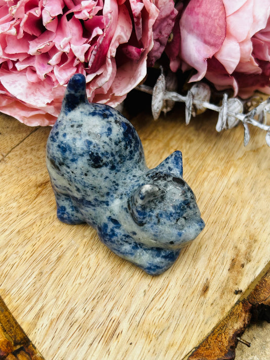 Sodalite cat