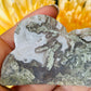 Druzy moss agate cloud