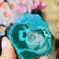 Malacolla