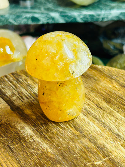Golden healer mushroom