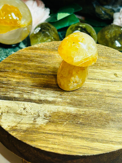 Golden healer mushroom