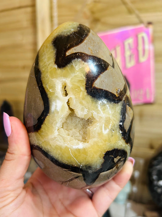Septarian egg