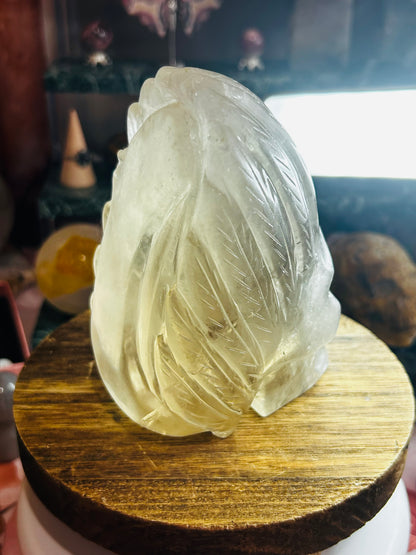 Smoky quartz skull