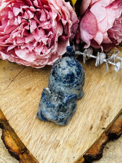 Sodalite cat