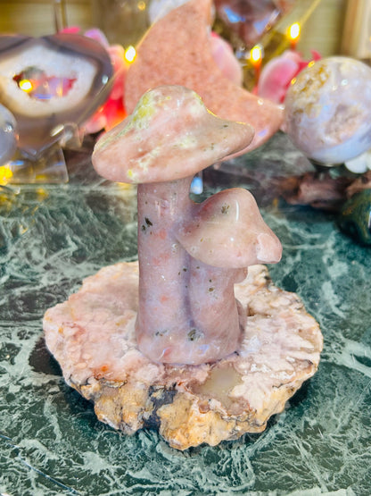 Cherry blossom mushrooms