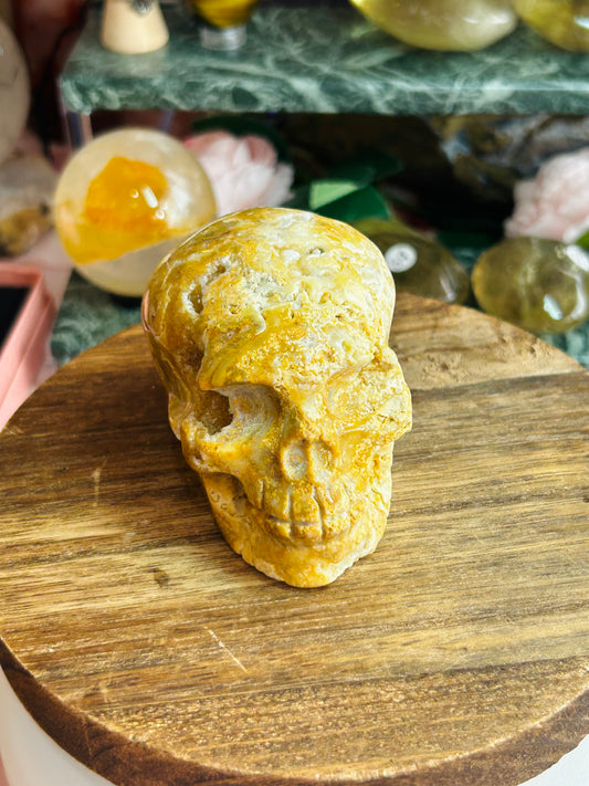 Crazy lace agate skull