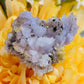 Purple creedite
