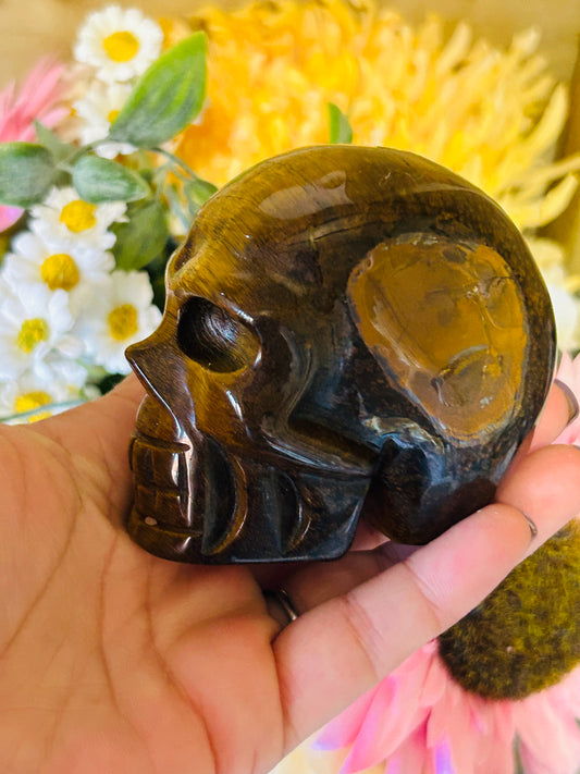 Tigers eye skull