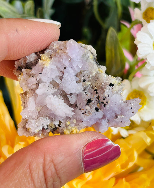 Purple creedite