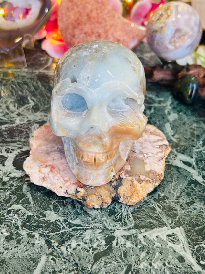 Caribbean calcite skull