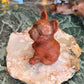 Red jasper dog